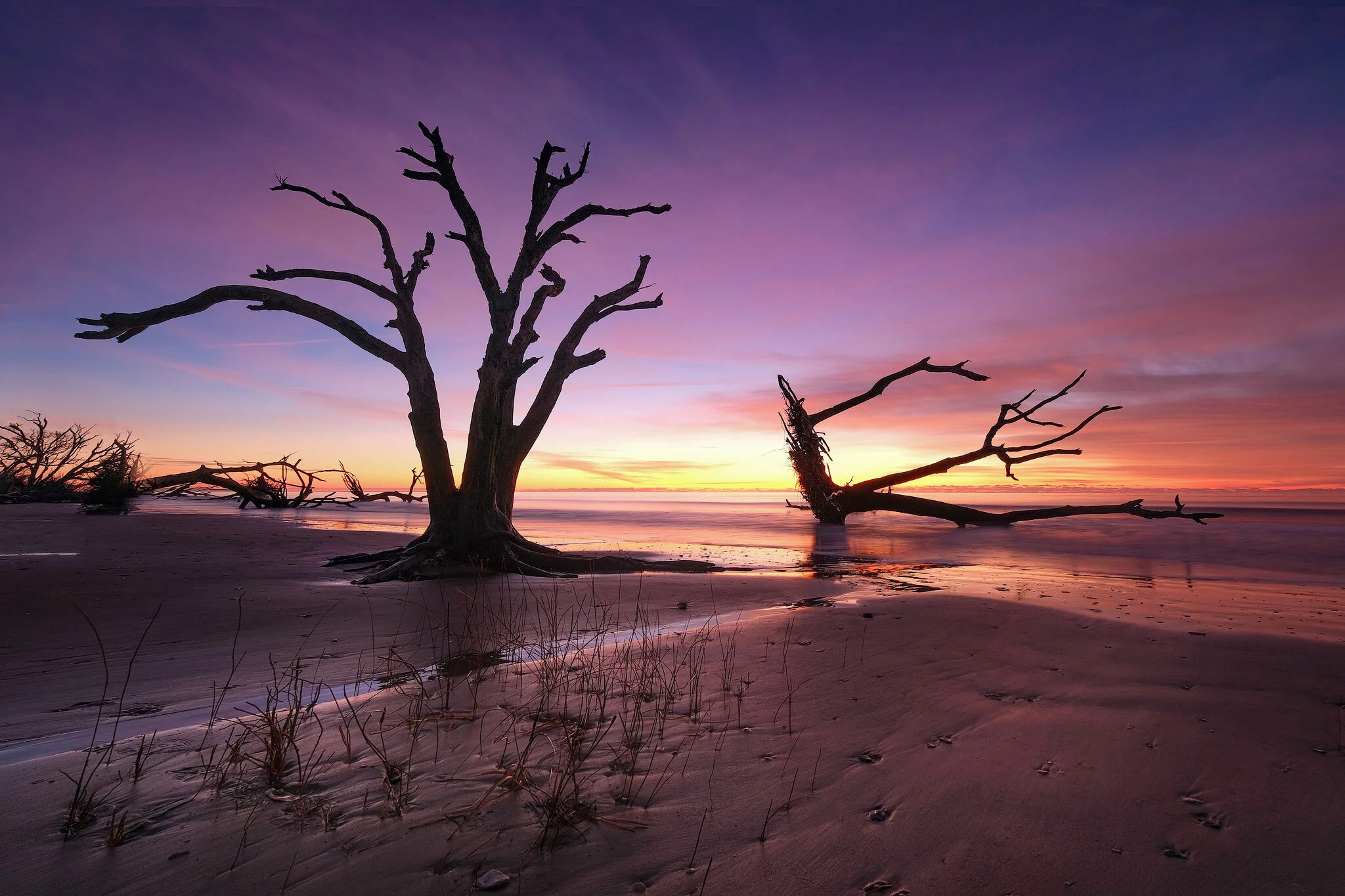 Botany Bay Beach Reopens: 8 Things You Need To Know