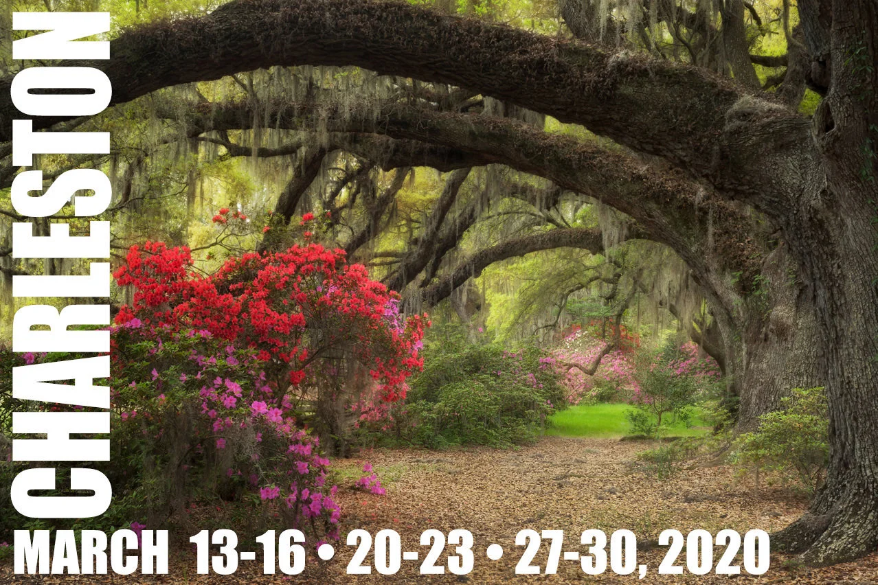 Charleston Photography Tours Southern Hospitality The Significance