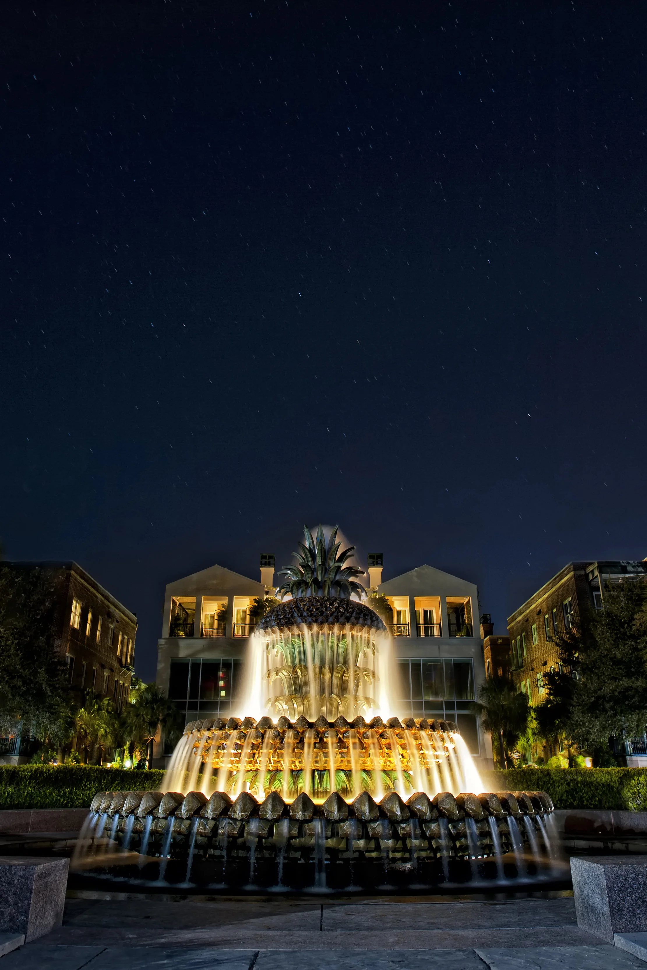 Cordelia ironi detektor Charleston Photography Tours - Southern Hospitality: The Significance Of  The Pineapple in Charleston