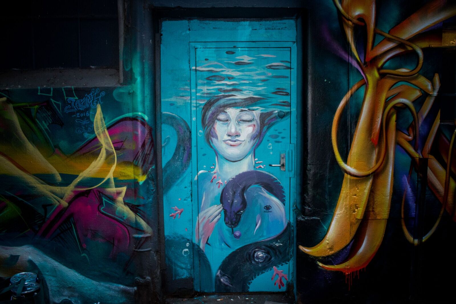 Photo by Joel Klease / Art by Júlia Palazzo