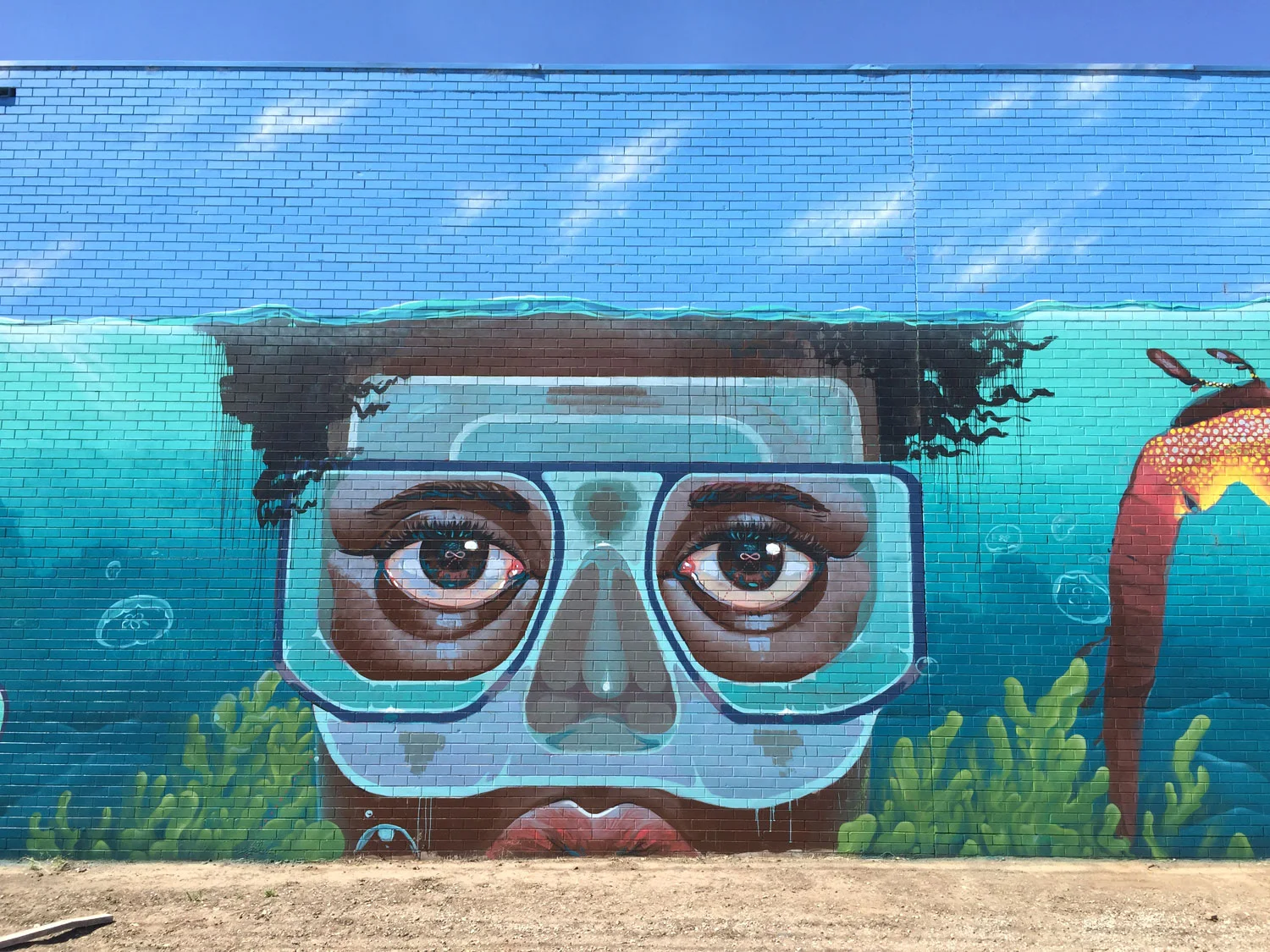 diver.jpg