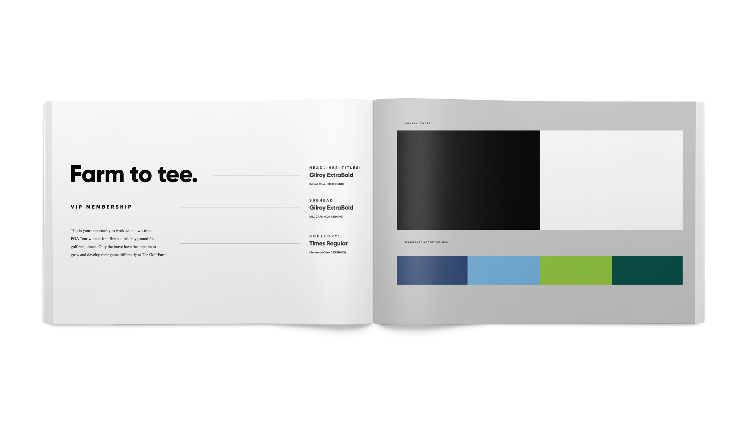 Style Guide Comp 3.png
