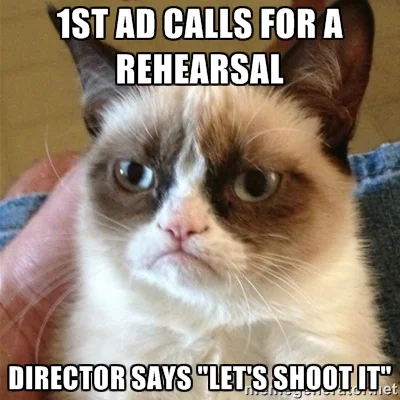 i am not sure why this cat is thinking this?