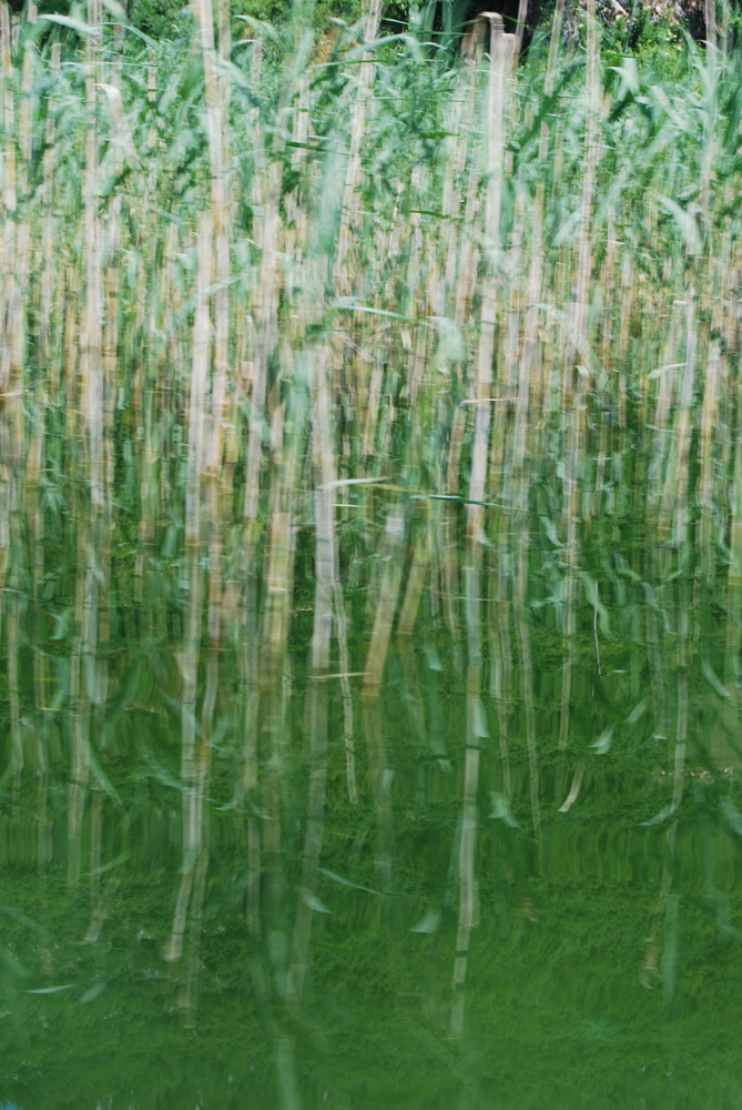 Water reflections and blur, Ohrid Lake, © alketa misja photography