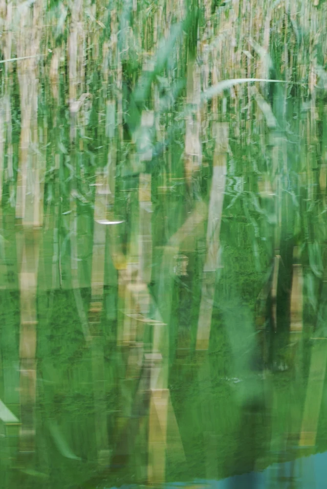 Water reflections and blur, Ohrid Lake, © alketa misja photography