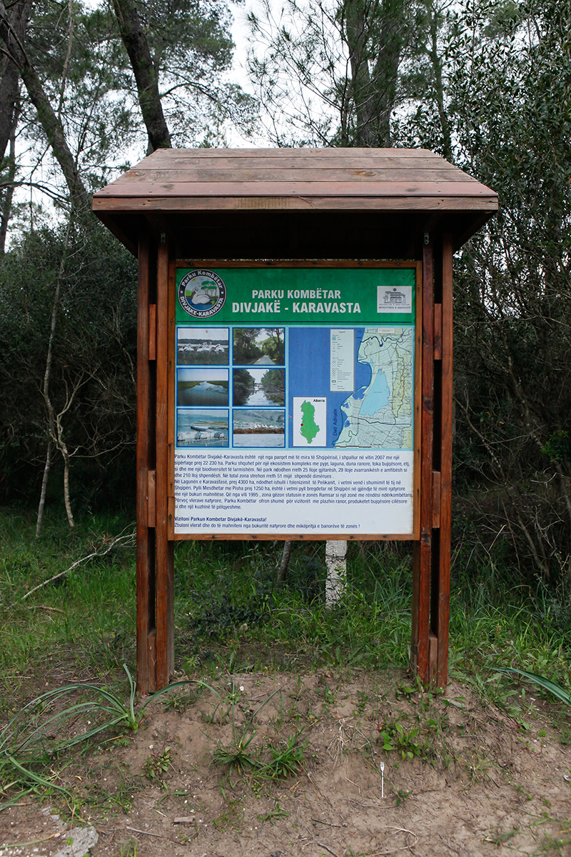 Karavasta Lagoon, Divjaka-Karavasta National Park, photography Alketa Misja, Albania April 2016