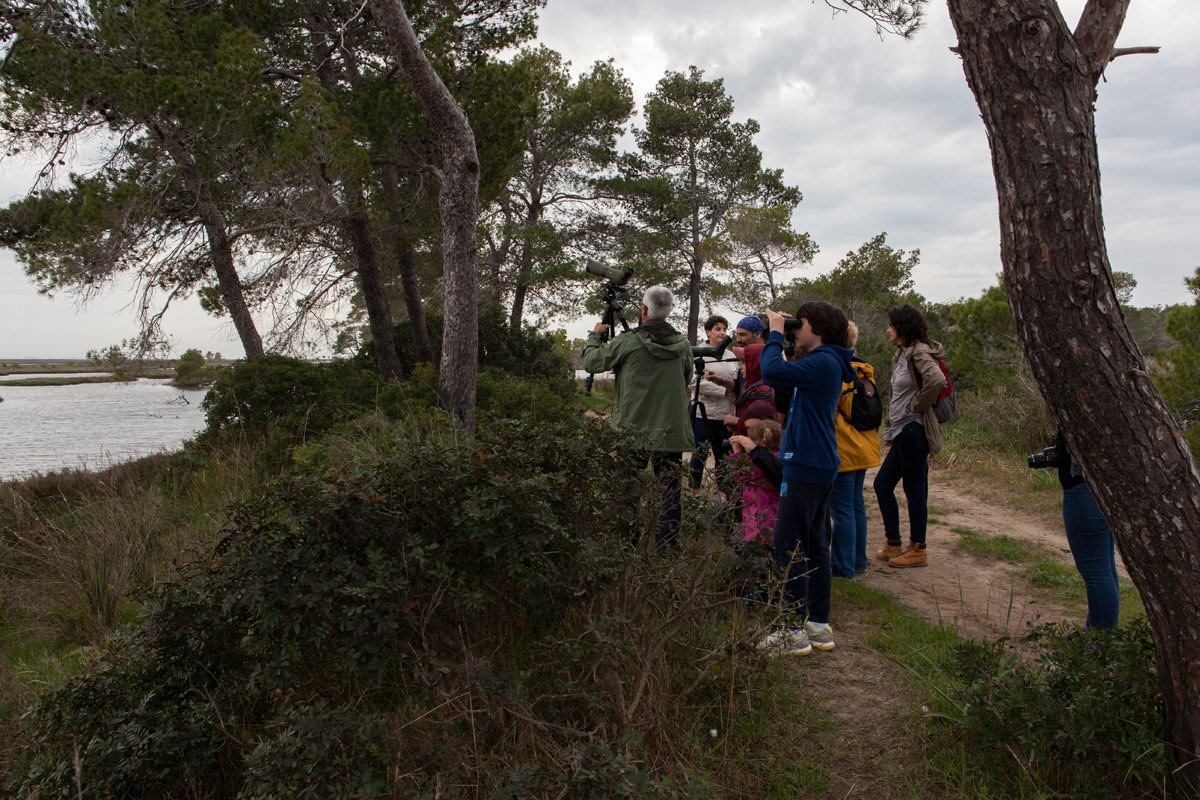 Karavasta Lagoon, Divjaka-Karavasta National Park, photography Alketa Misja, Albania April 2016