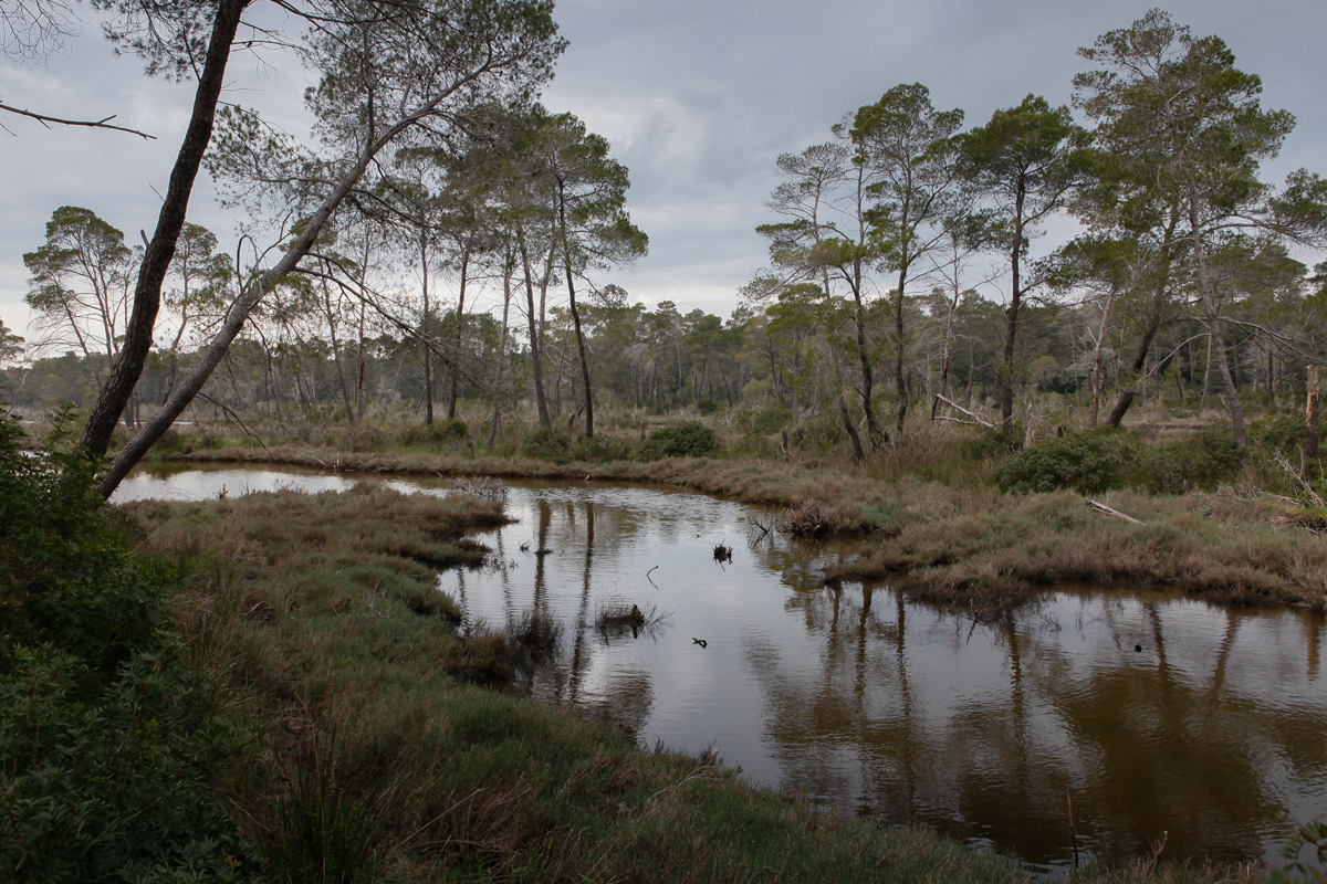 Karavasta Lagoon, Divjaka-Karavasta National Park, photography Alketa Misja, Albania April 2016