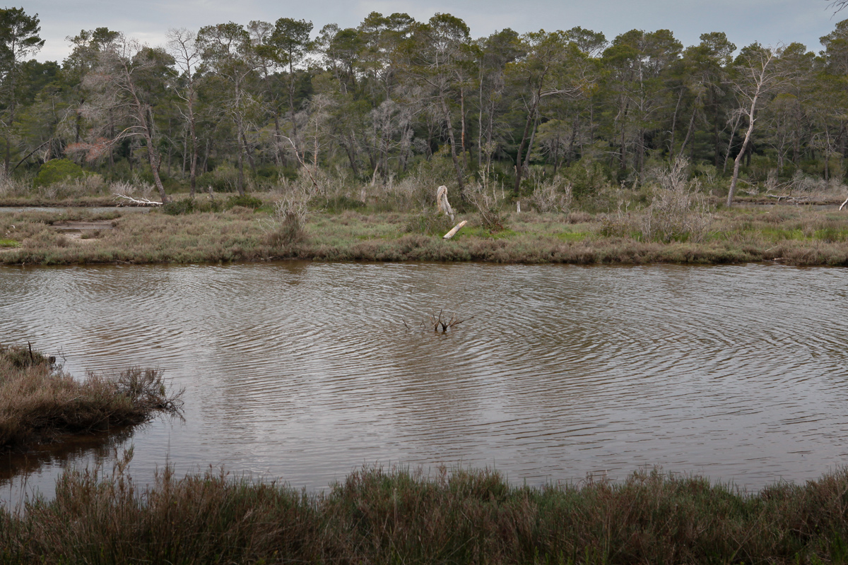 Karavasta Lagoon, Divjaka-Karavasta National Park, photography Alketa Misja, Albania April 2016