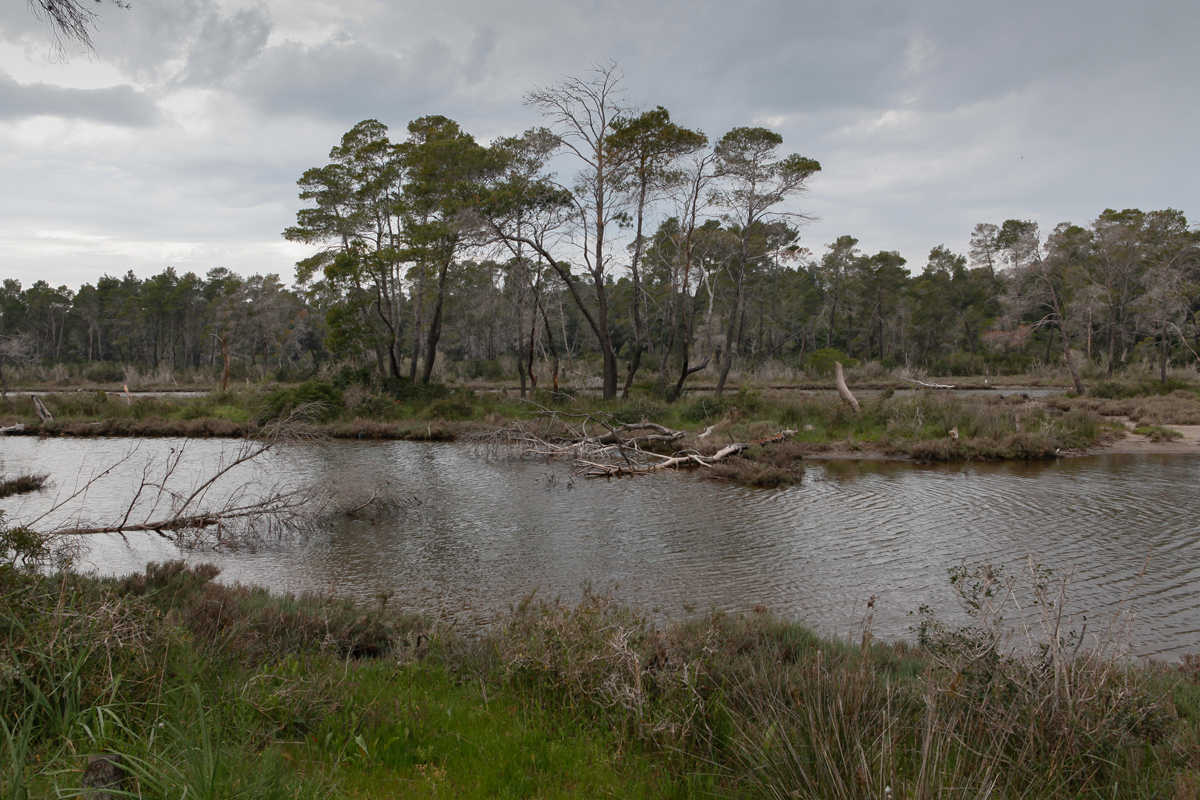 Karavasta Lagoon, Divjaka-Karavasta National Park, photography Alketa Misja, Albania April 2016