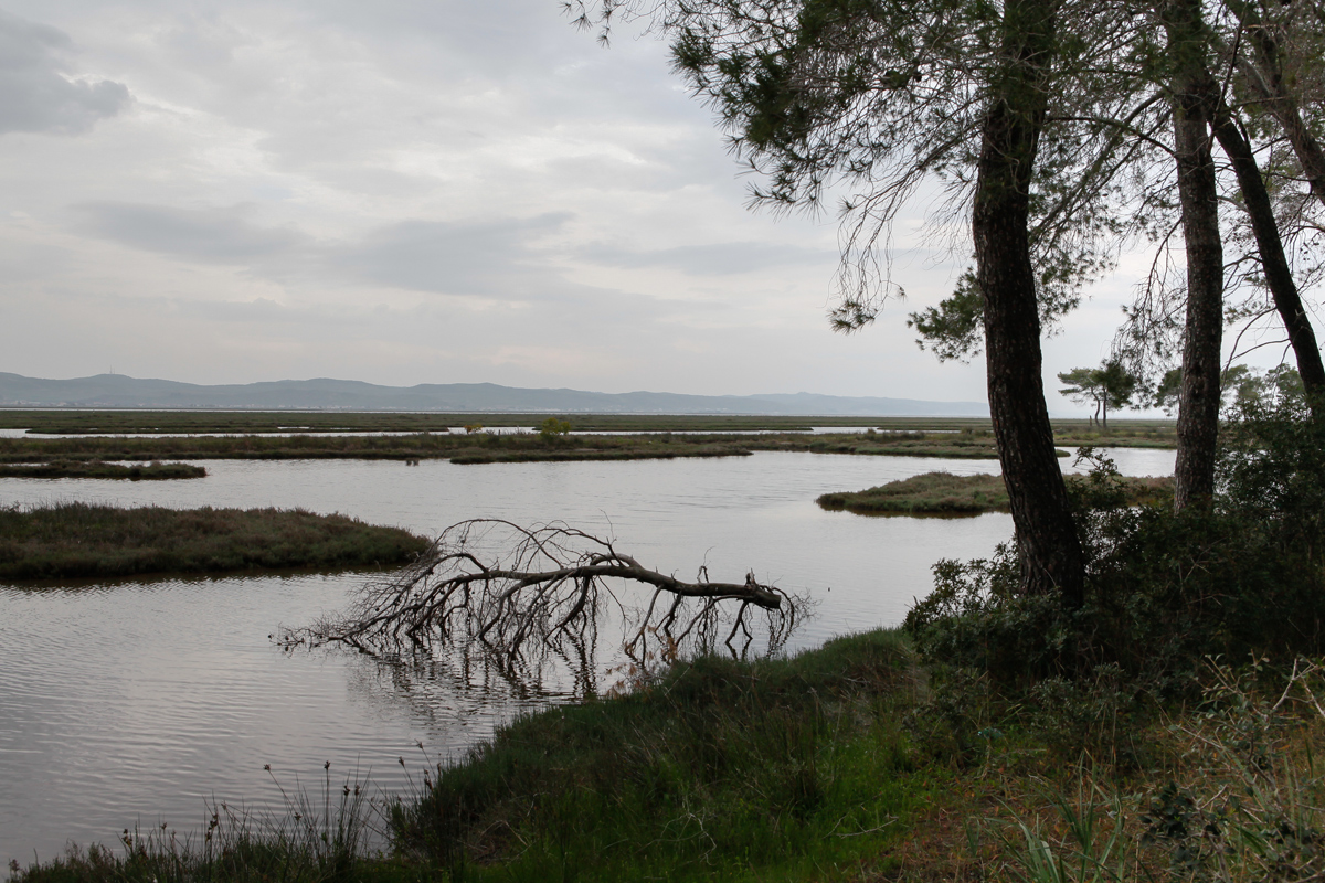 Karavasta Lagoon, Divjaka-Karavasta National Park, photography Alketa Misja, Albania April 2016