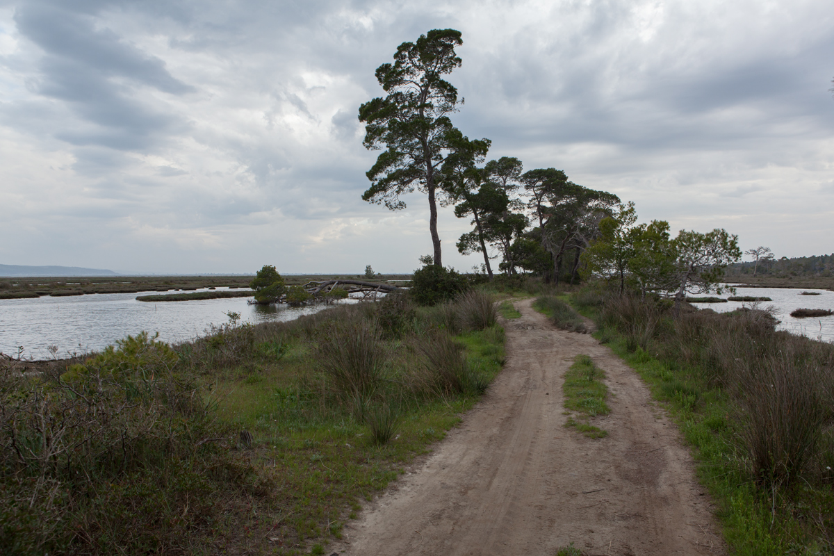 Karavasta Lagoon, Divjaka-Karavasta National Park, photography Alketa Misja, Albania April 2016