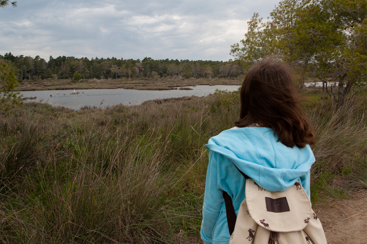 Karavasta Lagoon, Divjaka-Karavasta National Park, photography Alketa Misja, Albania April 2016