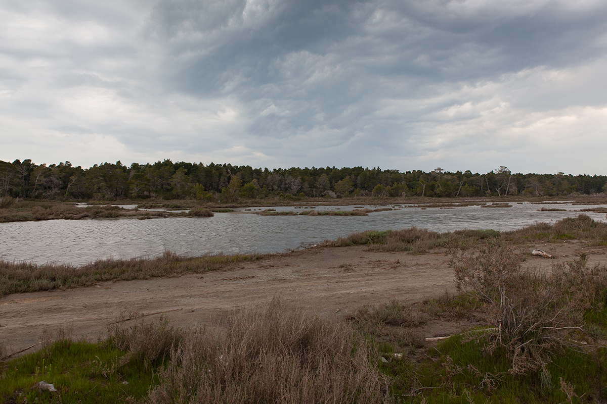 Karavasta Lagoon, Divjaka-Karavasta National Park, photography Alketa Misja, Albania April 2016