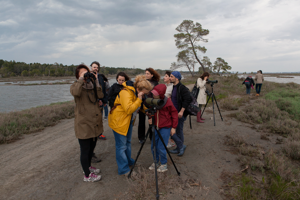 Birdwatching at Karavasta Lagoon, Divjaka-Karavasta National Park, photography Alketa Misja, Albania April 2016