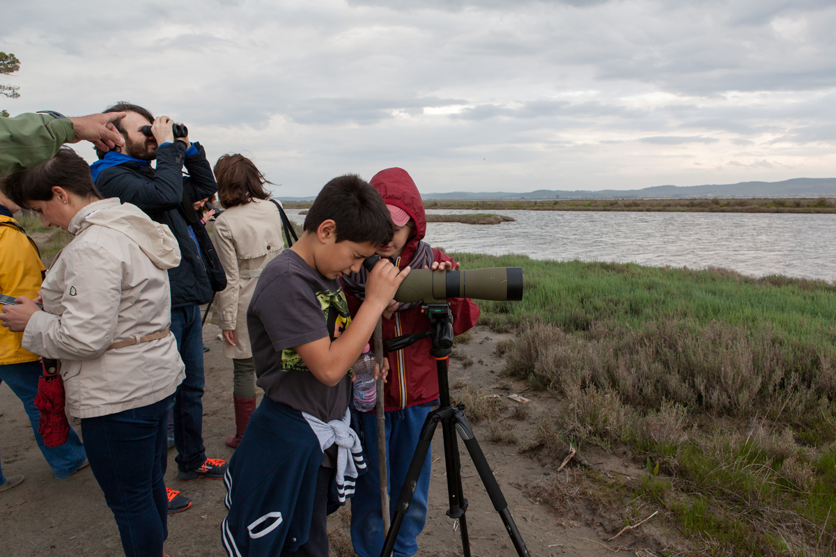 Birdwatching at Karavasta Lagoon, Divjaka-Karavasta National Park, photography Alketa Misja, Albania April 2016