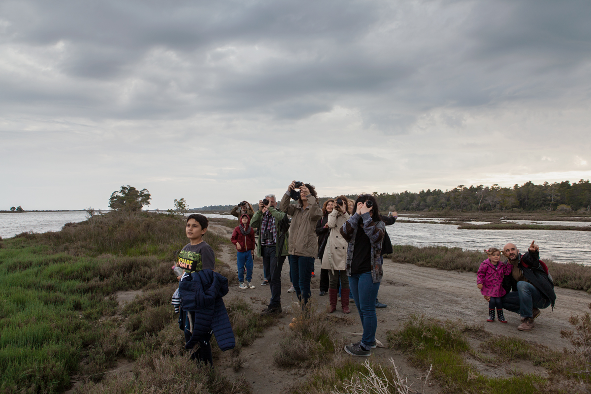 Birdwatching Karavasta Lagoon, Divjaka-Karavasta National Park, photography Alketa Misja, Albania April 2016
