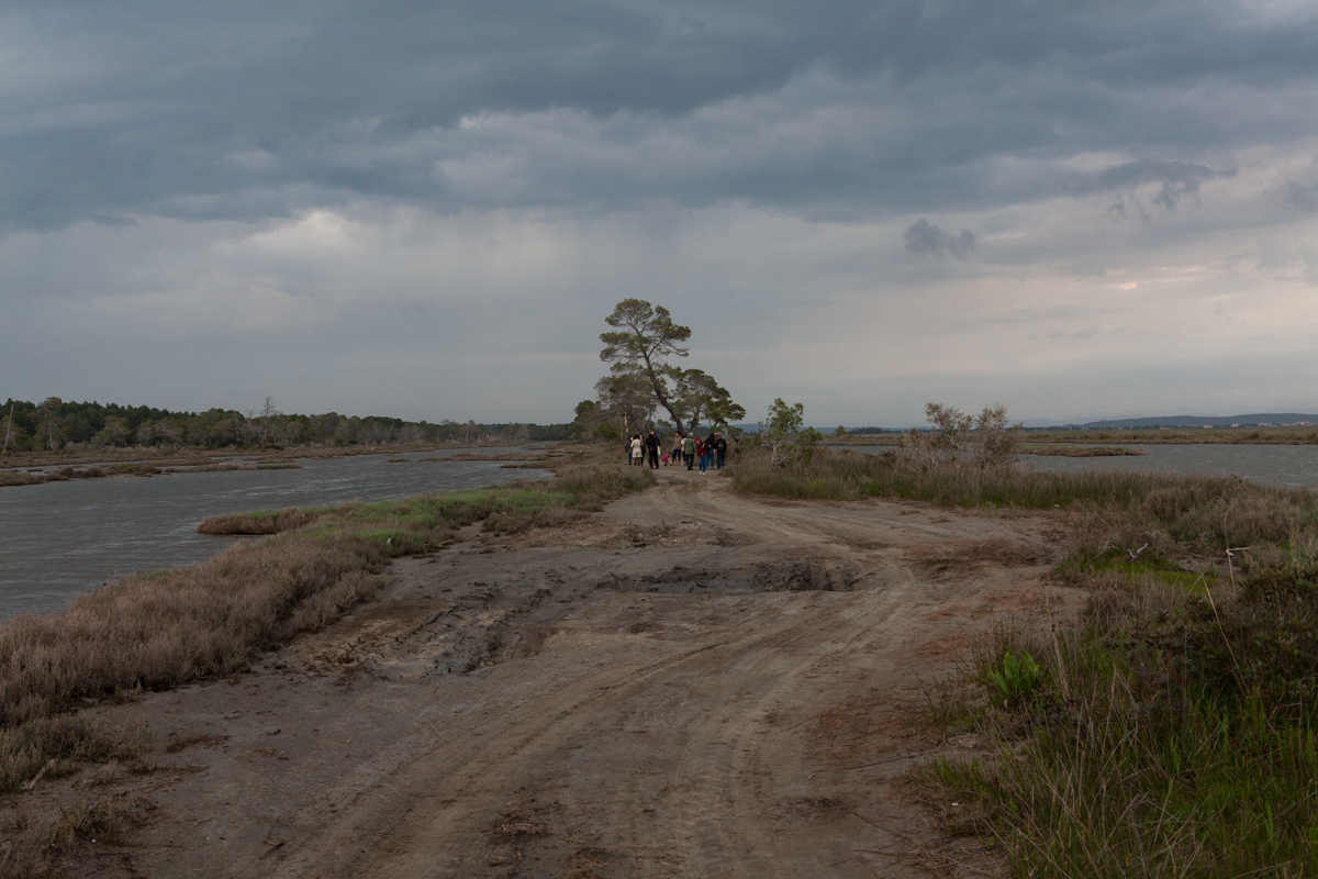Karavasta Lagoon, Divjaka-Karavasta National Park, photography Alketa Misja, Albania April 2016
