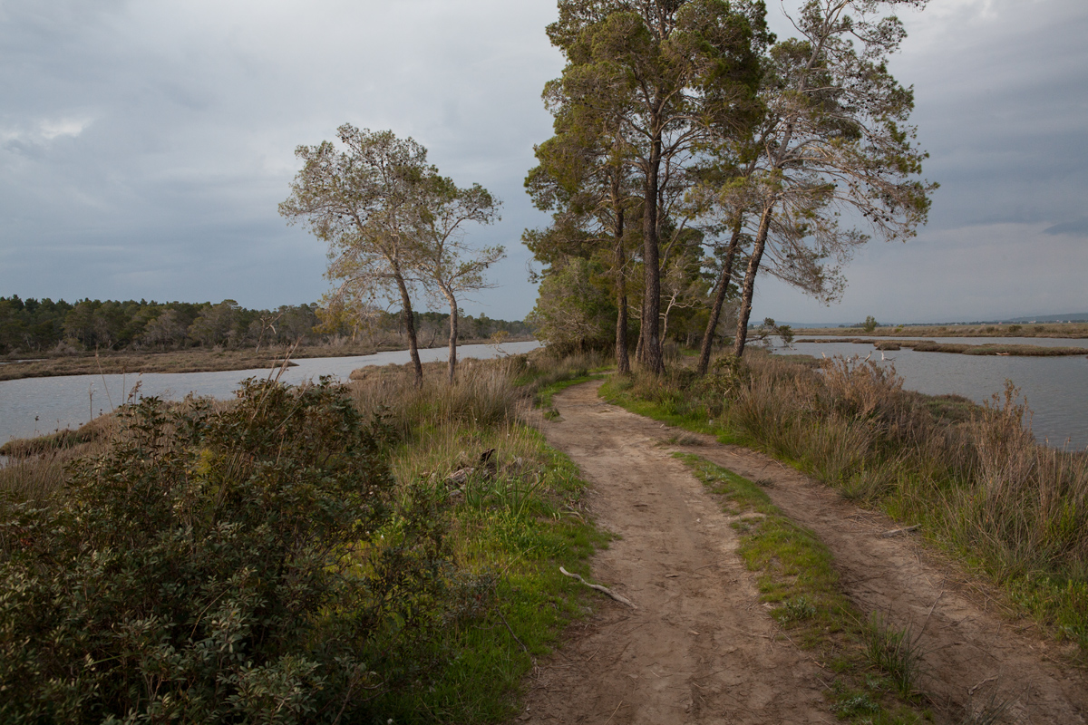 Karavasta Lagoon, Divjaka-Karavasta National Park, photography Alketa Misja, Albania April 2016