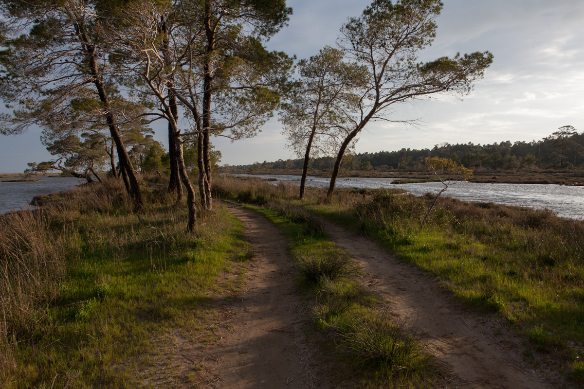 Karavasta Lagoon, Divjaka-Karavasta National Park, photography Alketa Misja, Albania April 2016