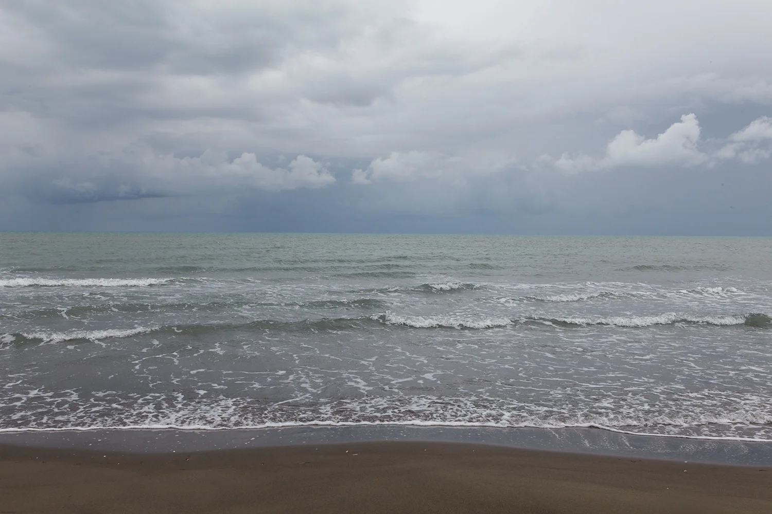 Adriatic Sea, Divjaka Park, photography Alketa Misja, Albania, April 2016
