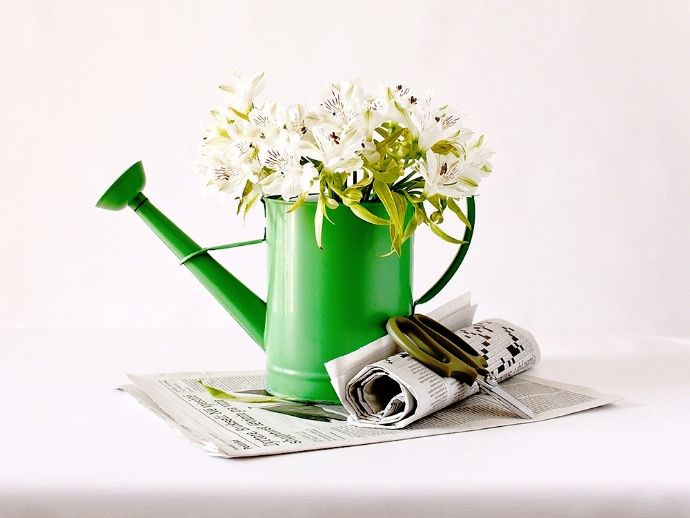 "Untitled" Still life with Flowers and Newspapers 2010