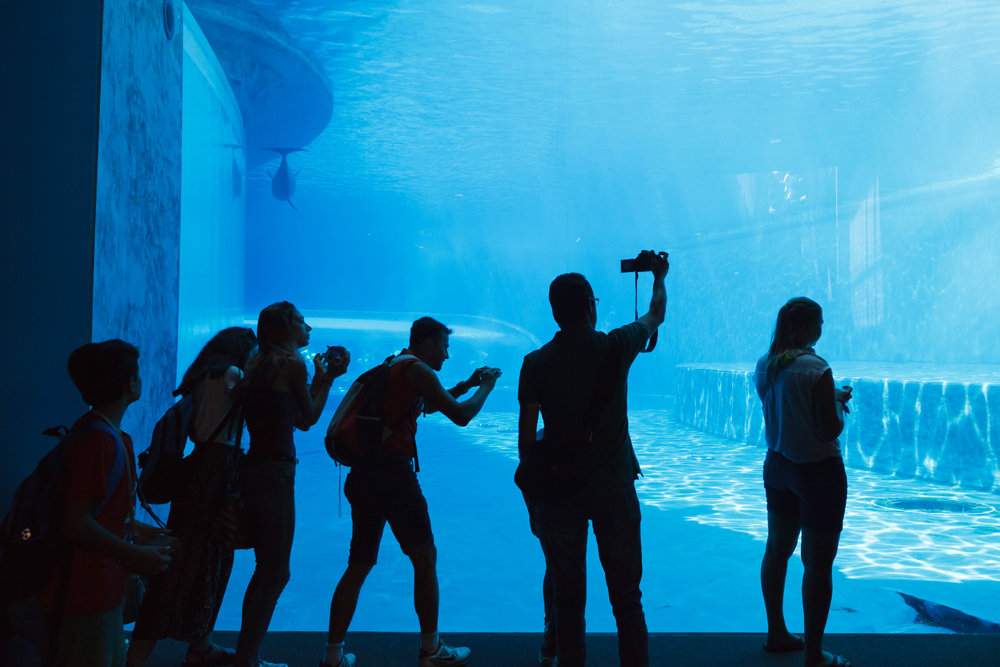 Cetaceans Pavilion. Acquario di Genova, ©alketamisja photography, August 2016