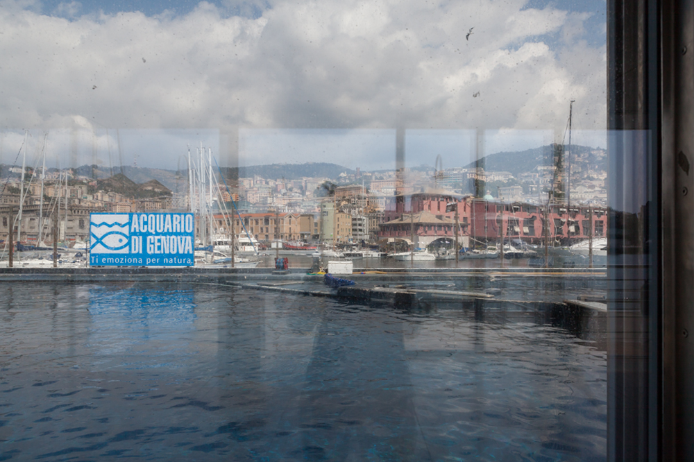 Cetaceans Pavilion, Acquario di Genova, ©alketamisja photography, August 2016