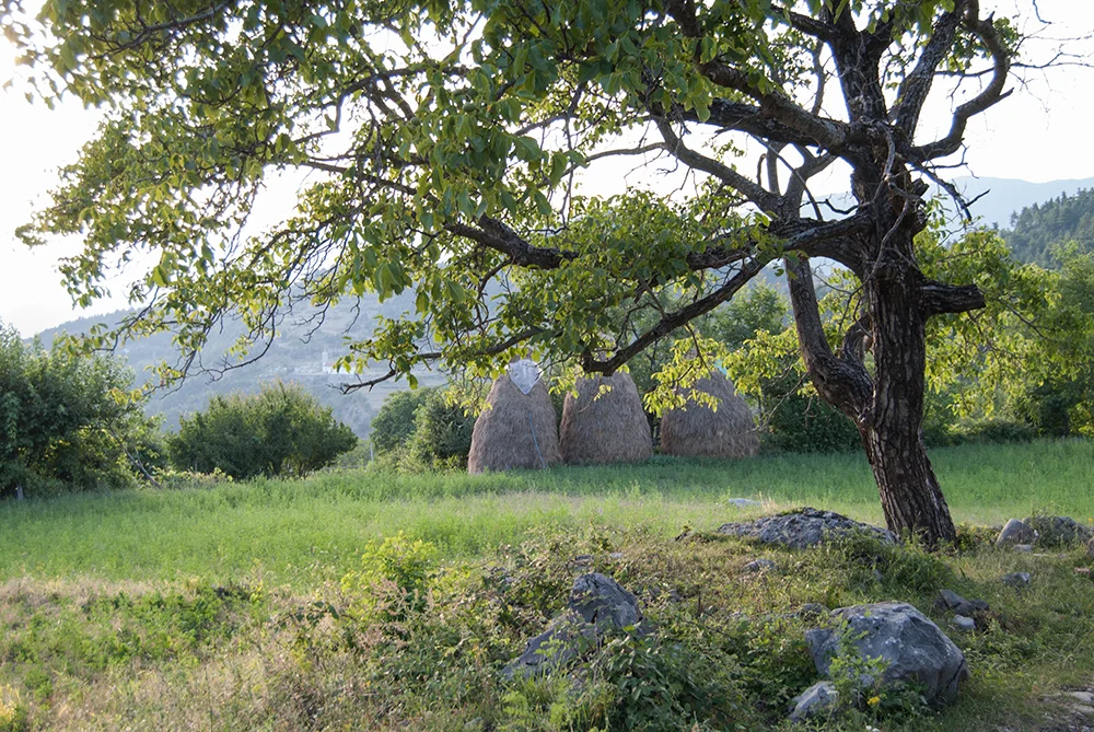 Grykë Orosh Mirditë, © alketa misja photography 2008