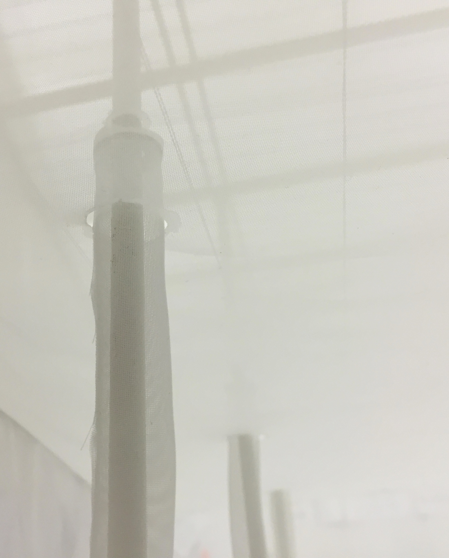 Cornell AAP Student Project Isabel Oyuela-Bonzani