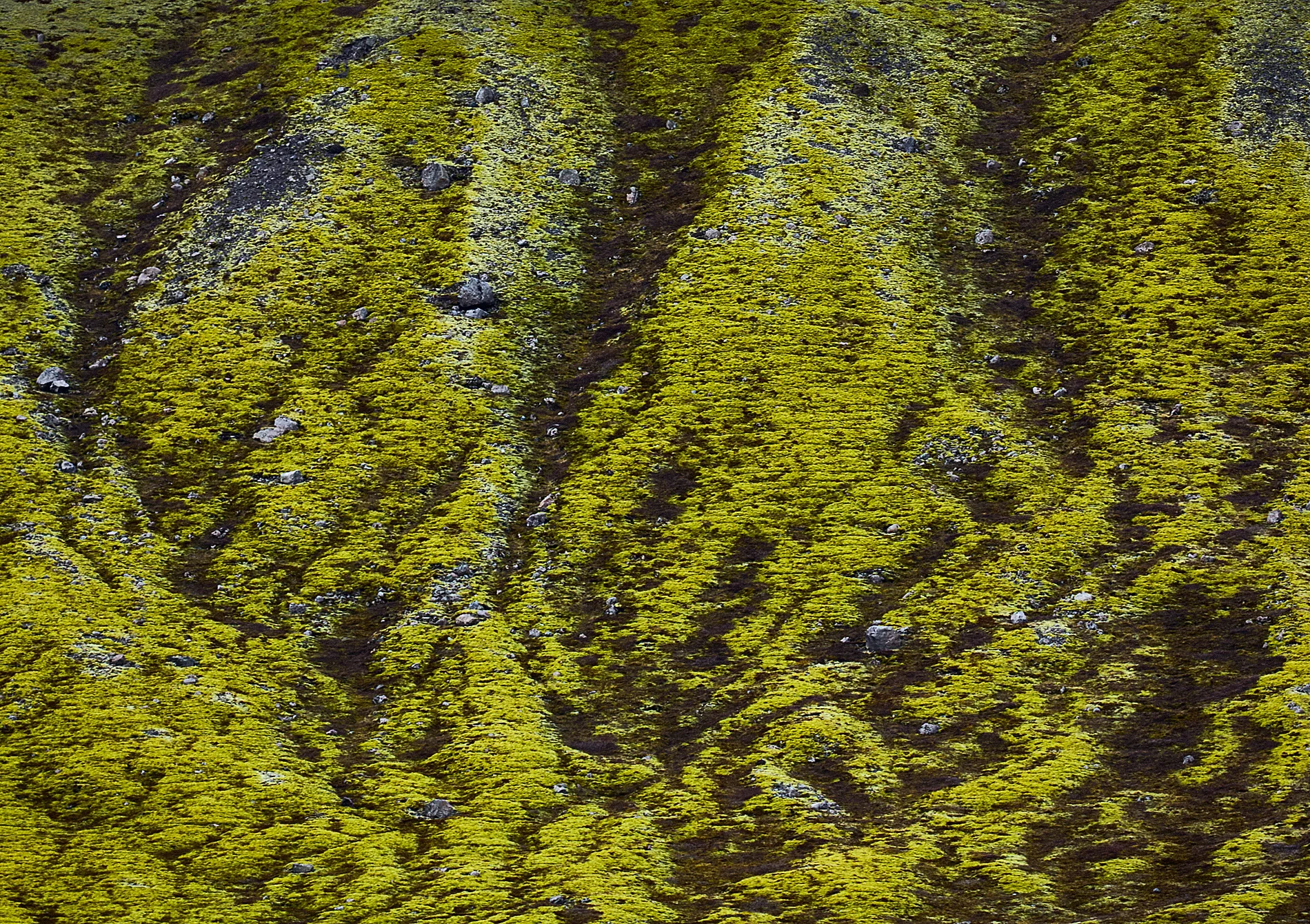 HB170412_Island27.jpg