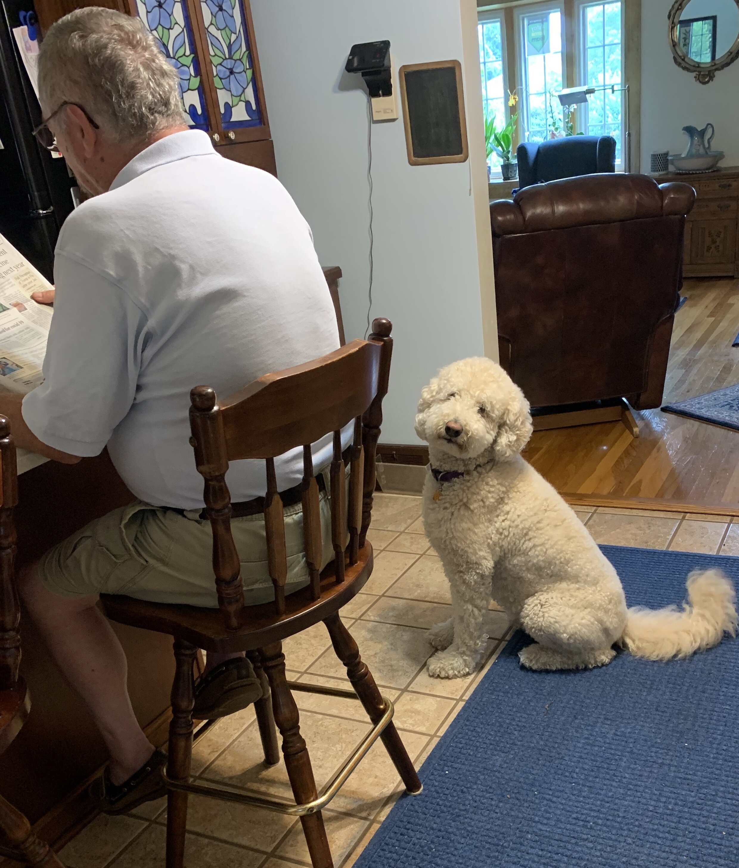 C6D2D21F-6339-4385-A040-D2F64719FEB2.jpeg