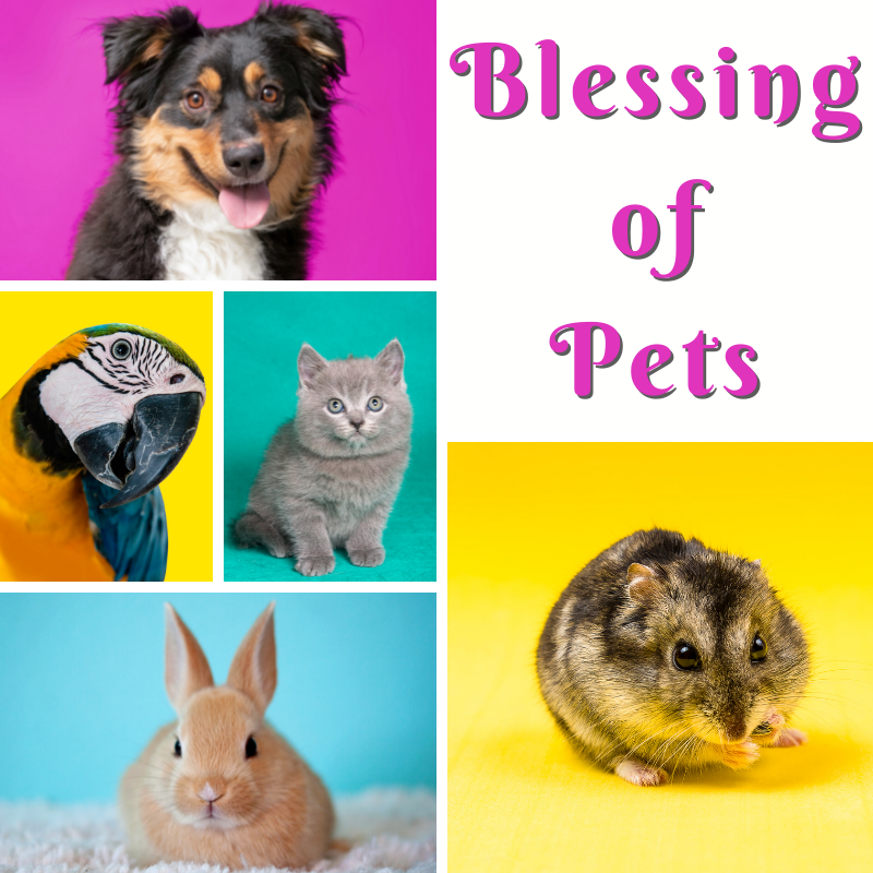 Blessing of Pets - October 4, 2025