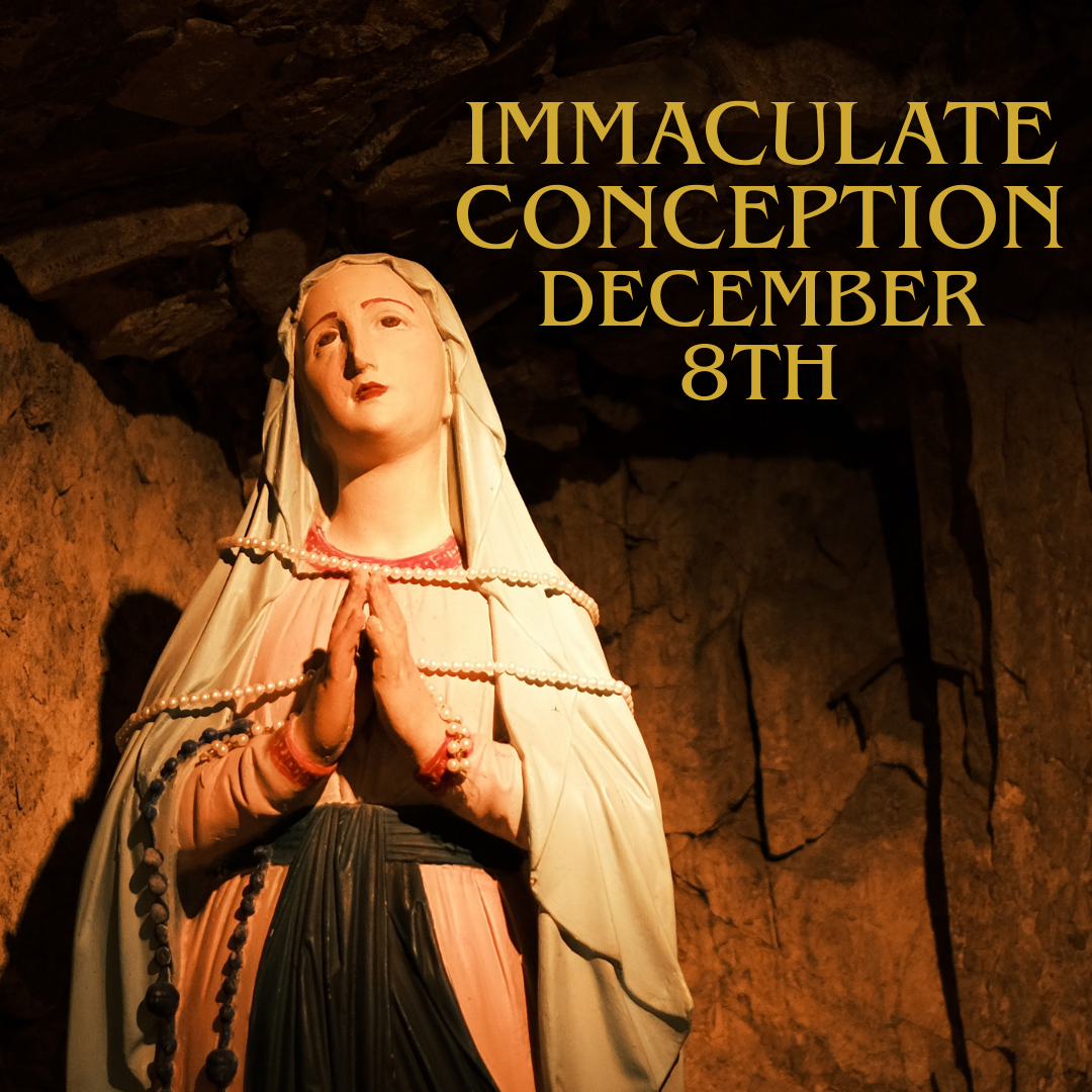 Monday December 8th - Feast of the Immaculate Conception