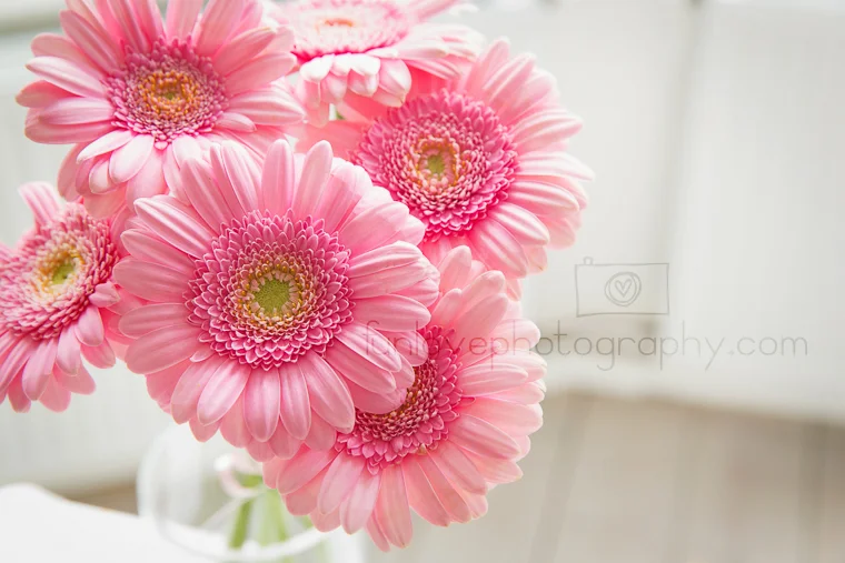 2015_fer2_0065-web.jpg
