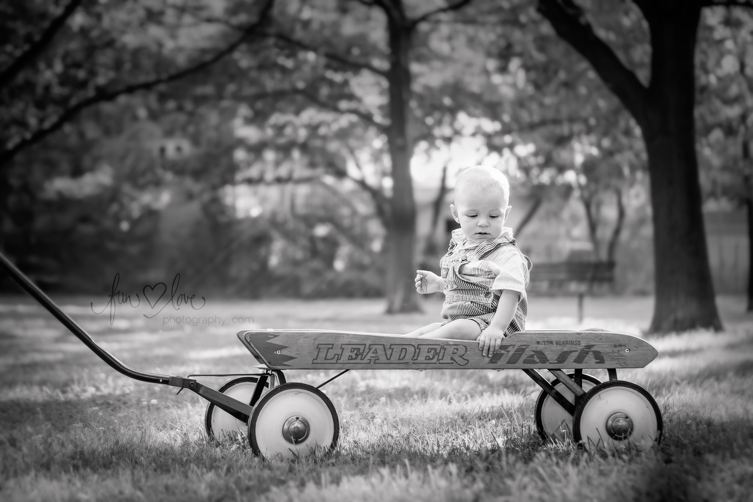 baby-boy-in-wagon-toronto-baby-photography