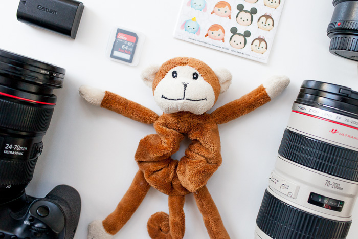 shutter hugger monkey for family photography