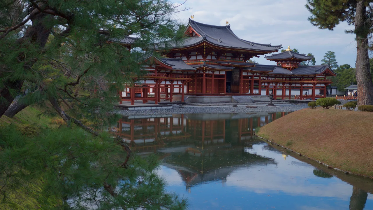 DSCF7797.jpg