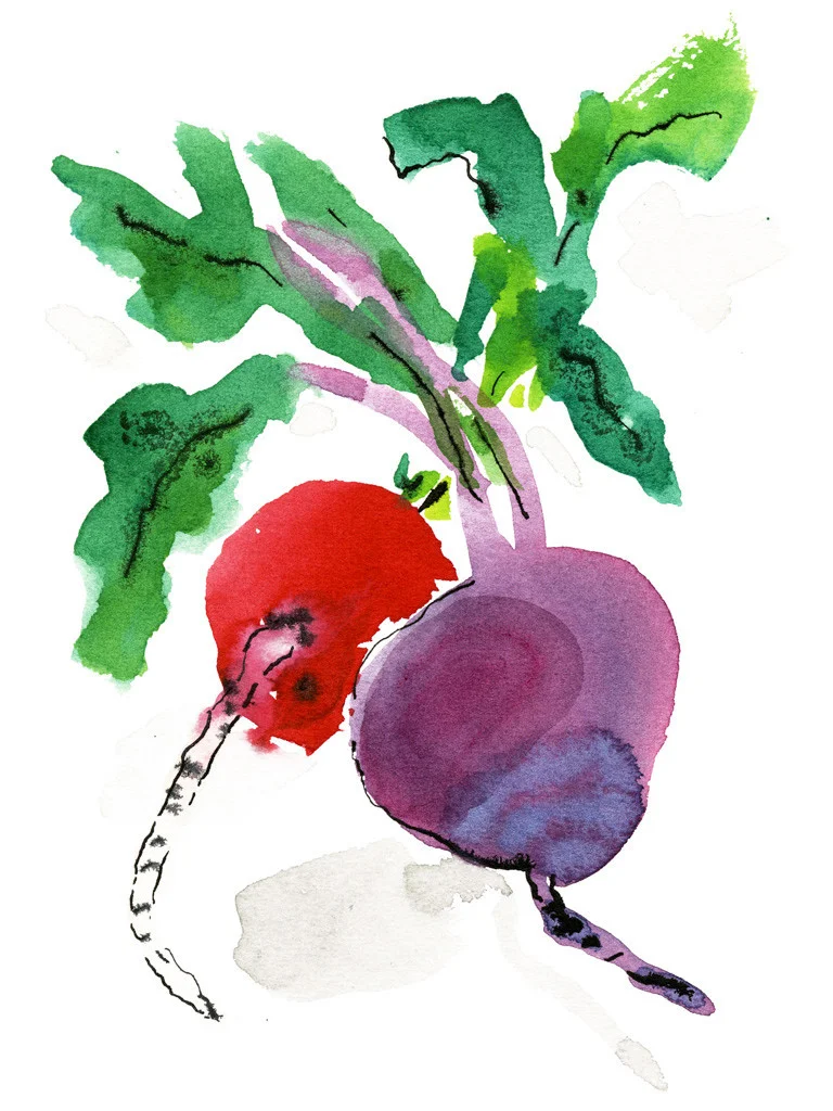 11_BF_beets_18x25_1024x1024.jpg