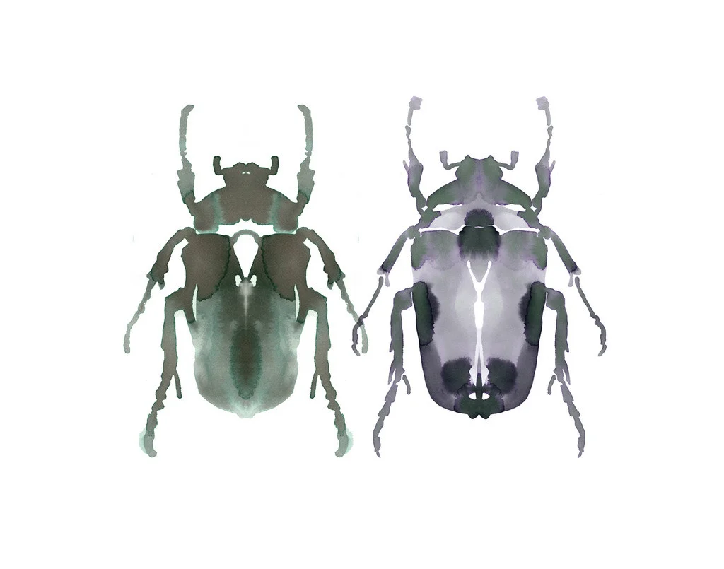 insect_2_copy_1024x1024.jpg