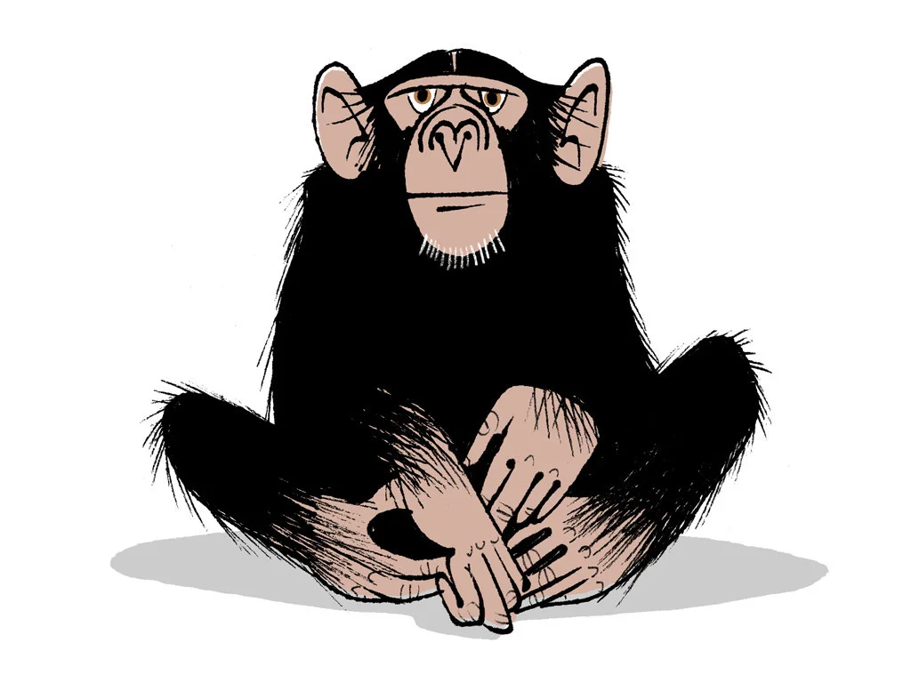 BB_05_chimp_1024x1024.jpg