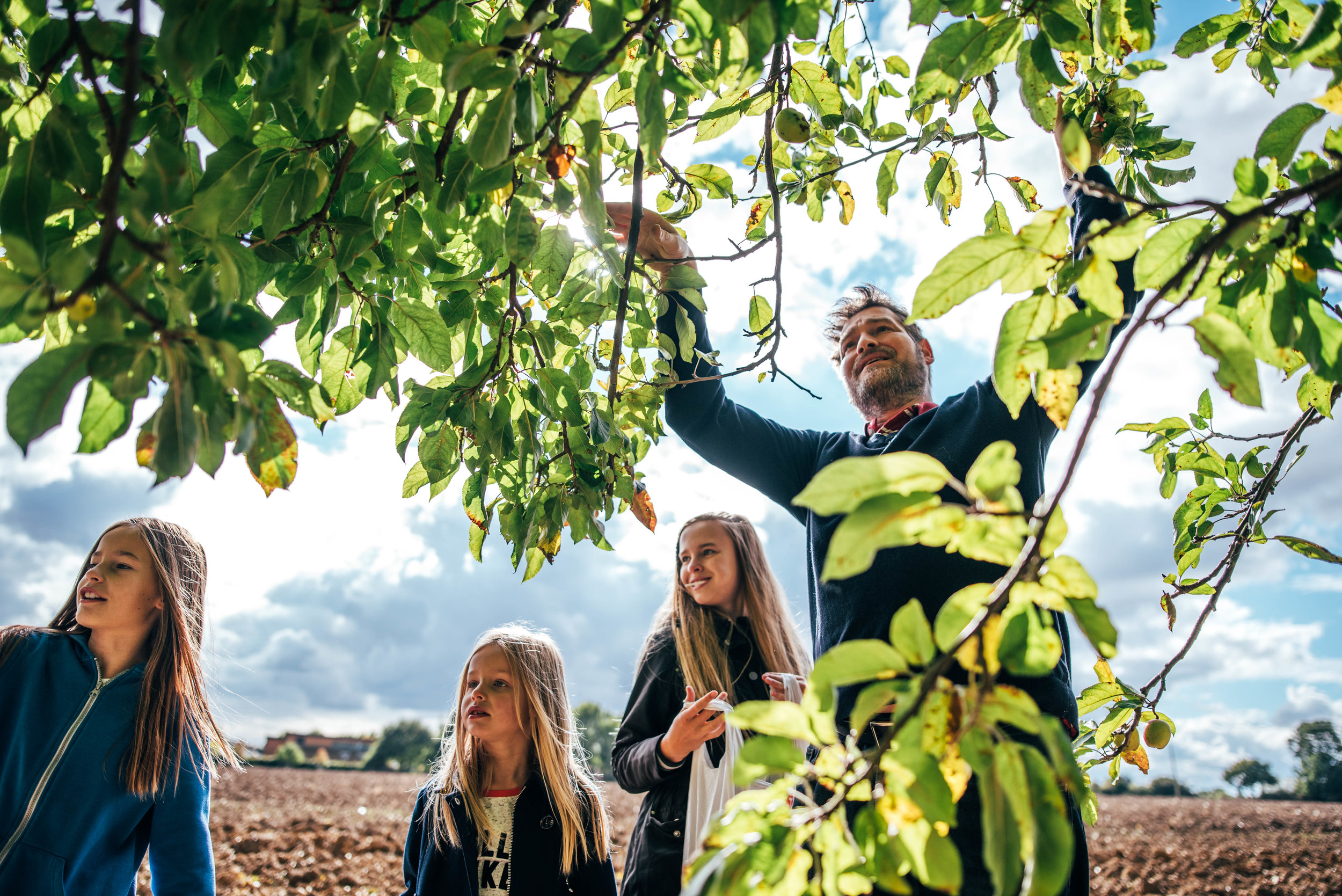 Family pick apples from tree Essex UK Documentary Portrait Photographer