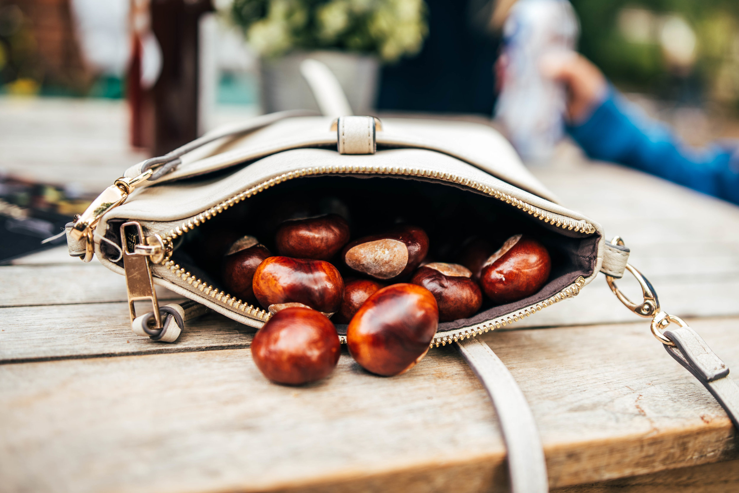 Conkers spill from an open bag Essex UK Documentary Photographer