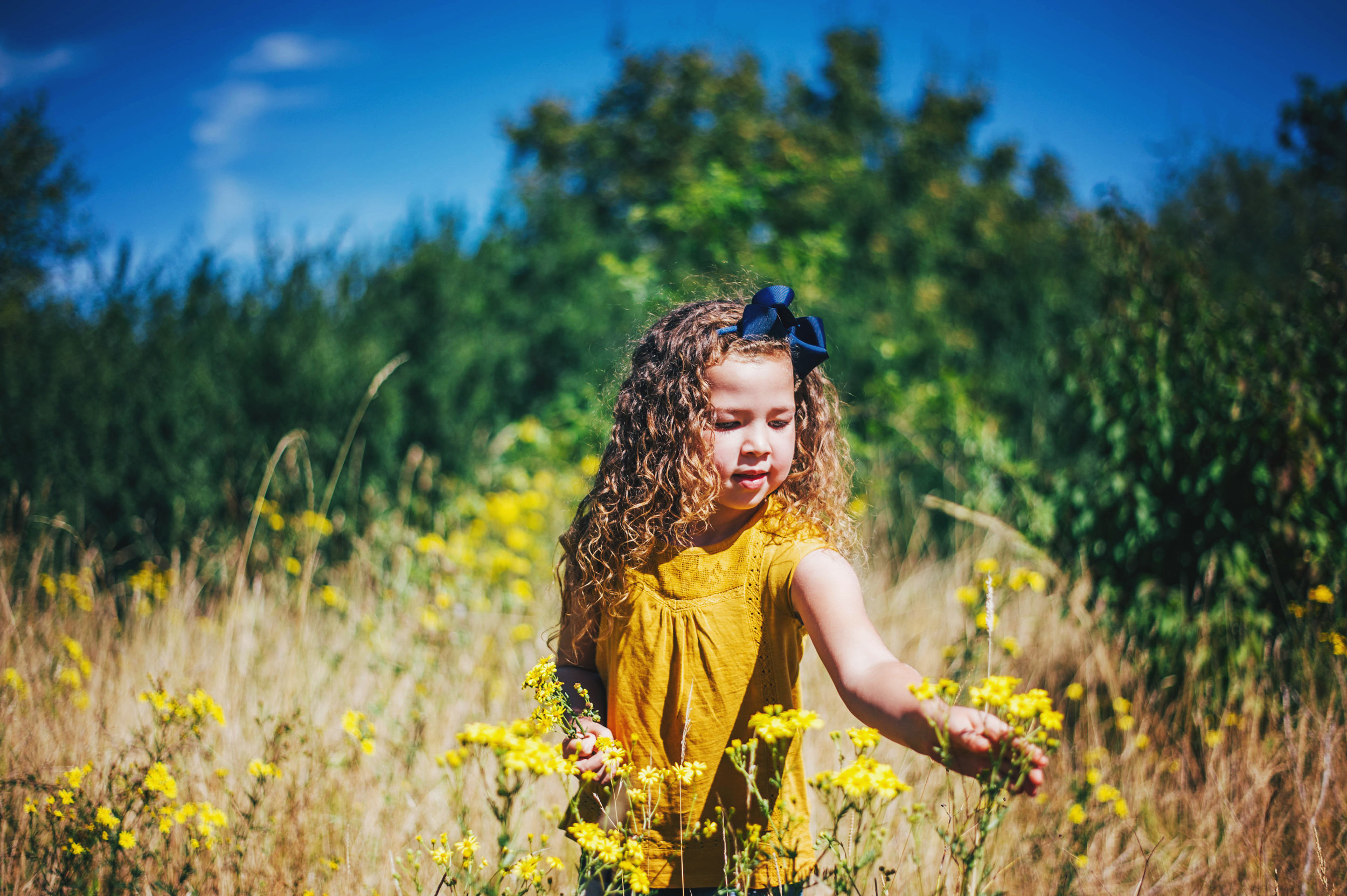 Little girl in long grass on sunny day Essex UK Natural Documentary Portrait Photographer