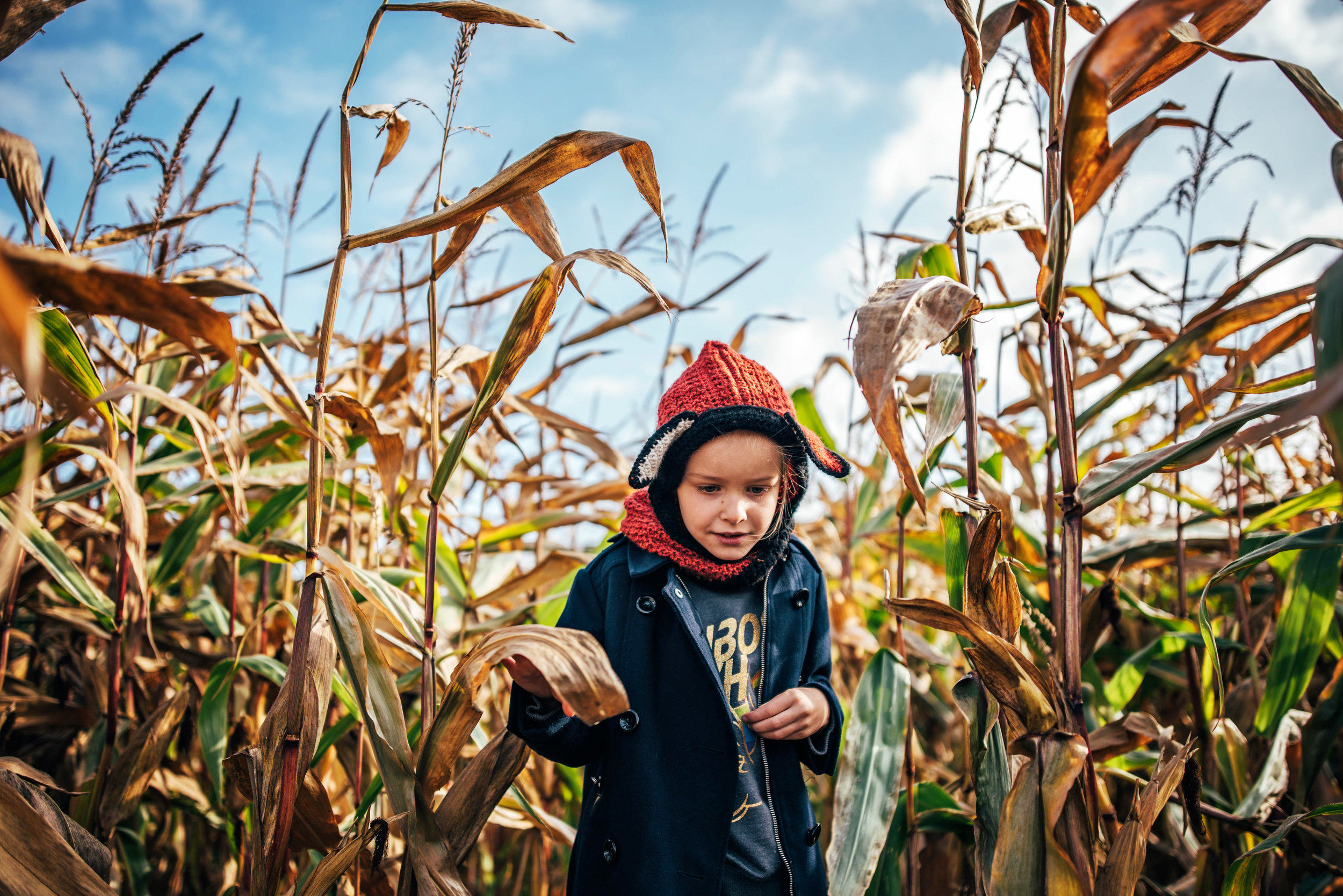 Little Girl in Fox Hat in Corn Maze Essex UK Documentary Portrait Photographer