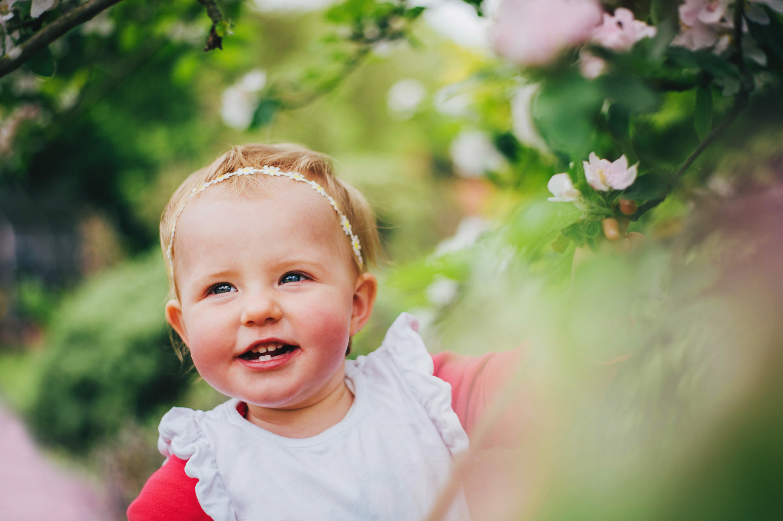 Baby Girl in Blossom tree Lifestyle Shoot Essex UK Documentary Portrait Photographer
