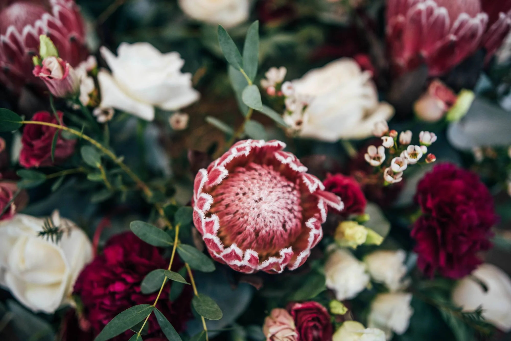 East Anglian Railway Museum Wedding. Vintage lace with Red &amp; Light Blue Palette with Proteas Bouquet. Essex Documentary Wedding Photographer