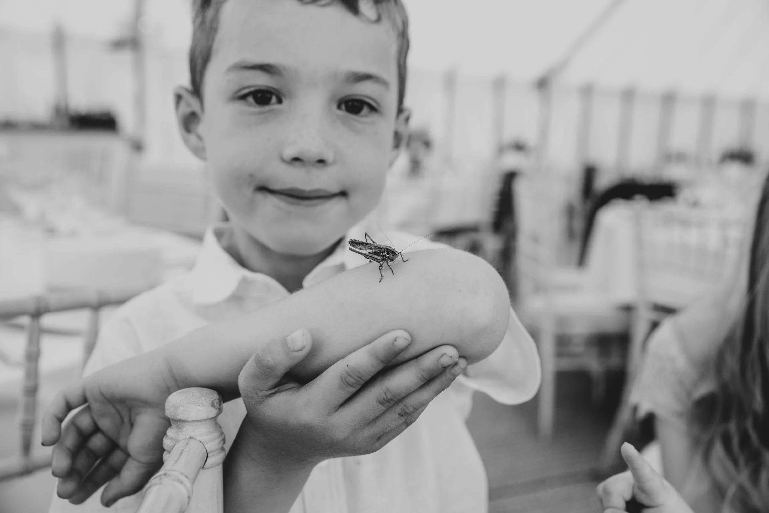 Little boy with Grasshopper on his arm.  DIY Back Garden Boho Wedding. Essex Documentary Wedding Photographer