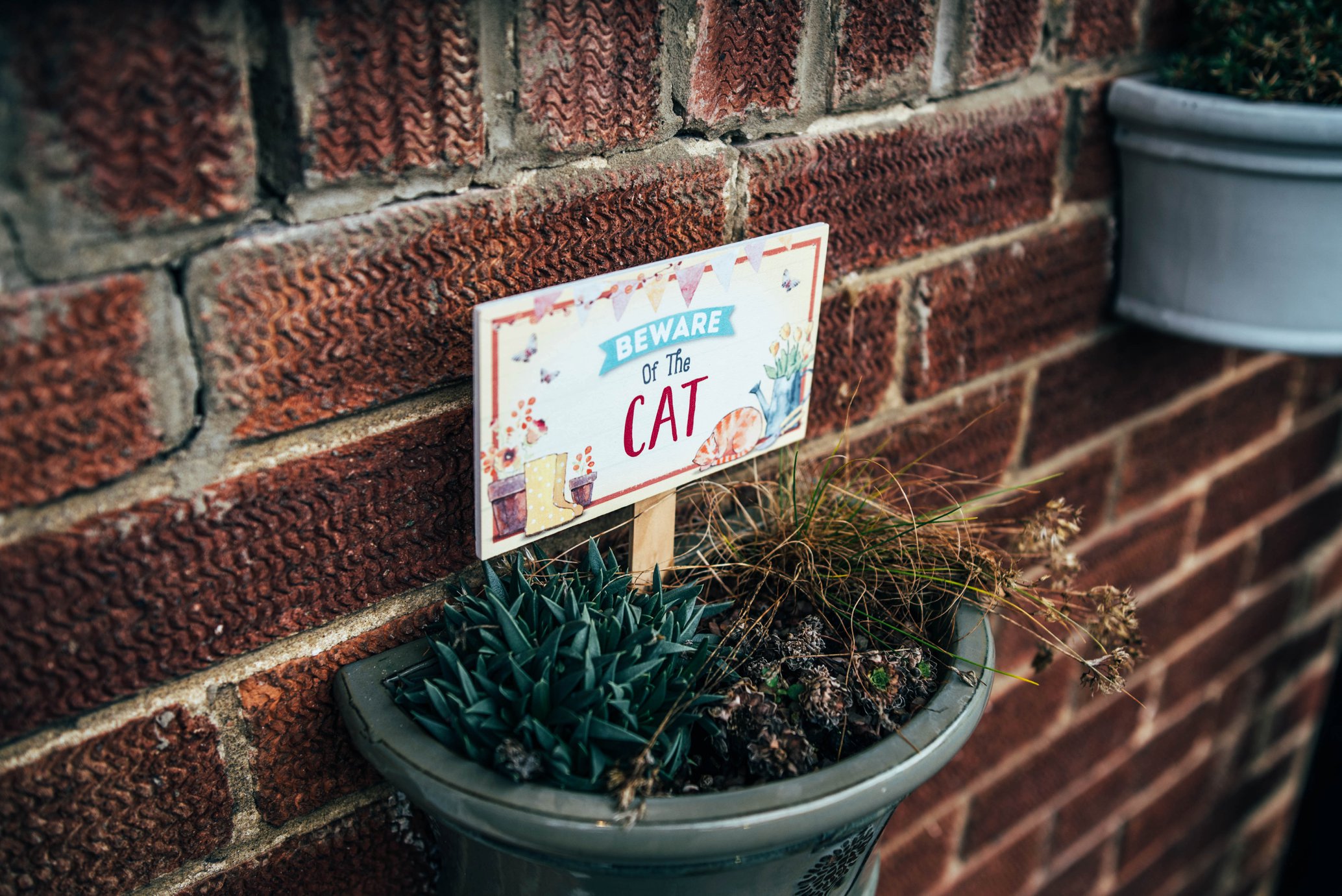 Winter Wedding with Hunter Green and Navy Blues, Bride &amp; Groom include their cat! Essex Documentary Wedding Photographer