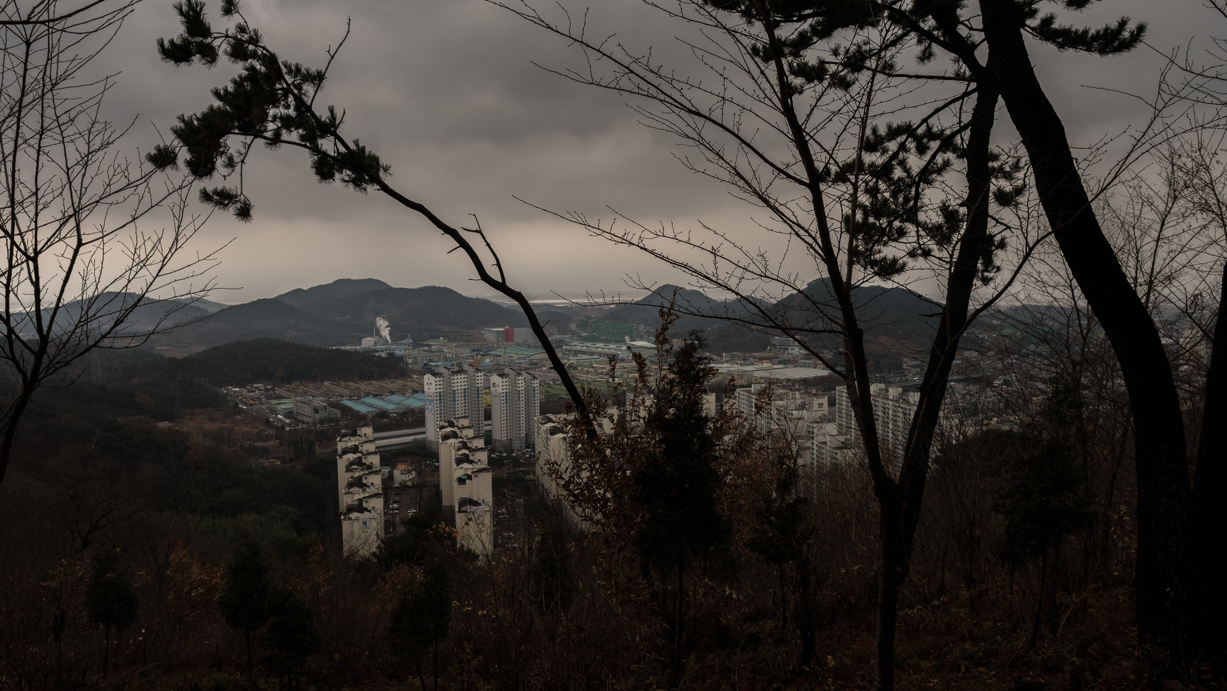 On my third day in Gwangju I climbed a small mountain to get a better perspective of the city. It was raining on and off, and just after I took this photograph the clouds burst and I got soaked to the skin. Near the bottom of the mountain was a shelter, and in it was a young couple cooking bulgogi on a camp stove. They offered me a cup of hot rice wine and a bowl of bulgogi and it warmed my body and soul. The man's name is Yeoung Jin-yim. We exchanged e-mail addresses, and that evening he wrote and said 'You seemed so cold because of the rain. Travel well and be healthy'.